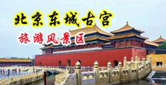 骚妇一看就硬啊插天天综合中国北京-东城古宫旅游风景区